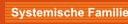Systemische Familientherapie